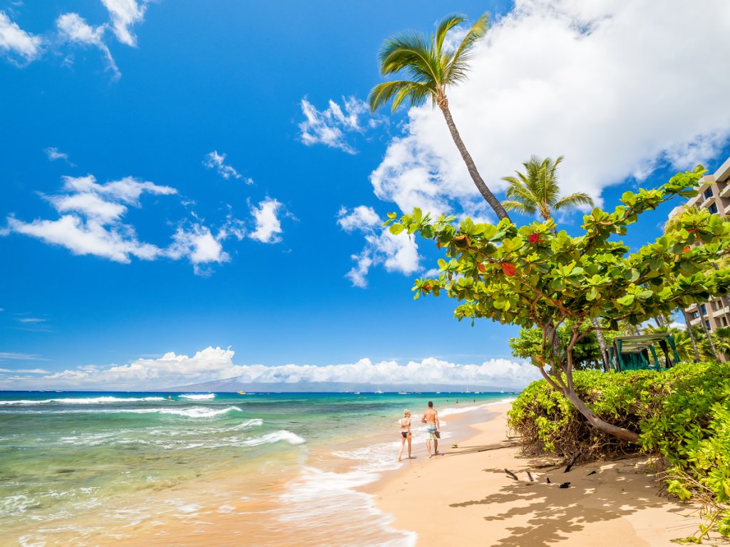 Best Beaches in Maui for Swimming and Snorkeling